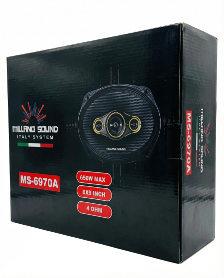 MS-6970A 650W 6.5INCH